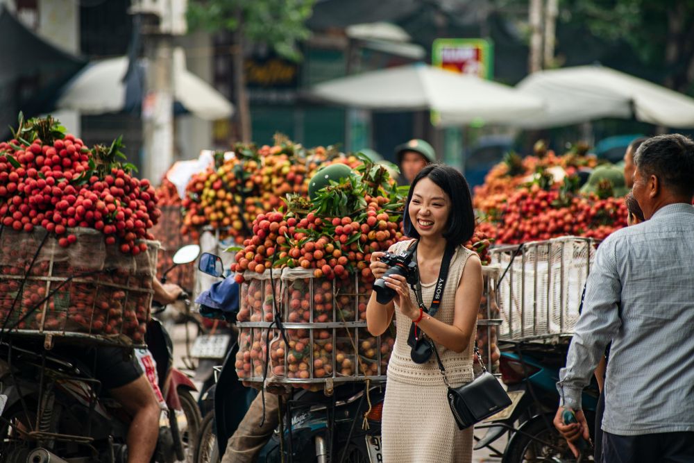 Vietnam Southeast Asia Travel Guide