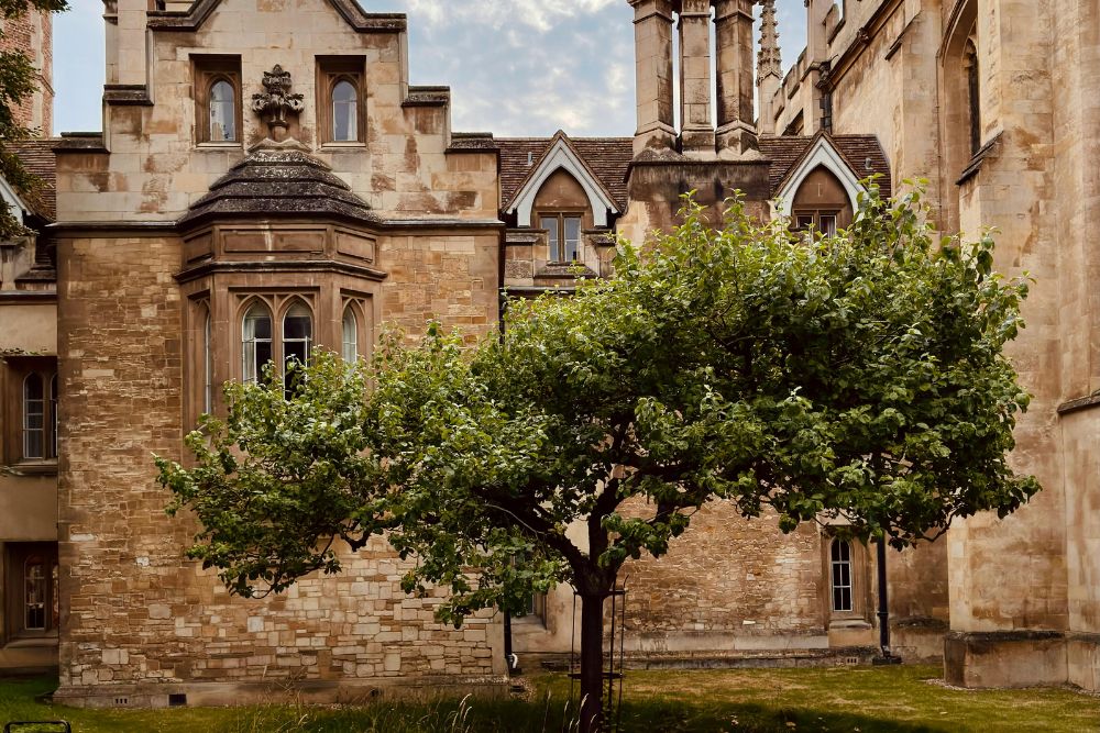 Newton’s Apple Tree Cambridge